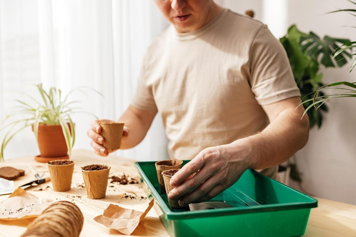 Composting at Home: A Guide to Reducing Household Waste