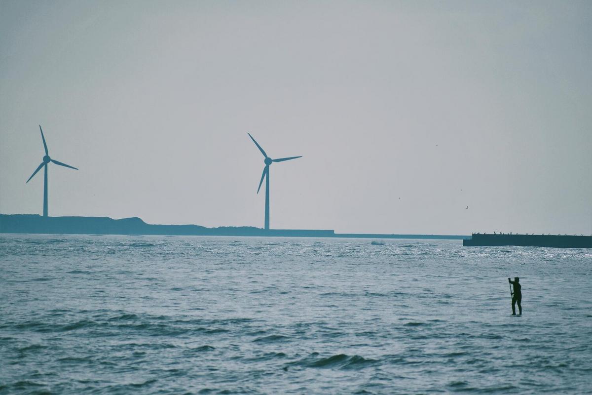 The Impact of Offshore Wind Farms on Marine Ecosystems